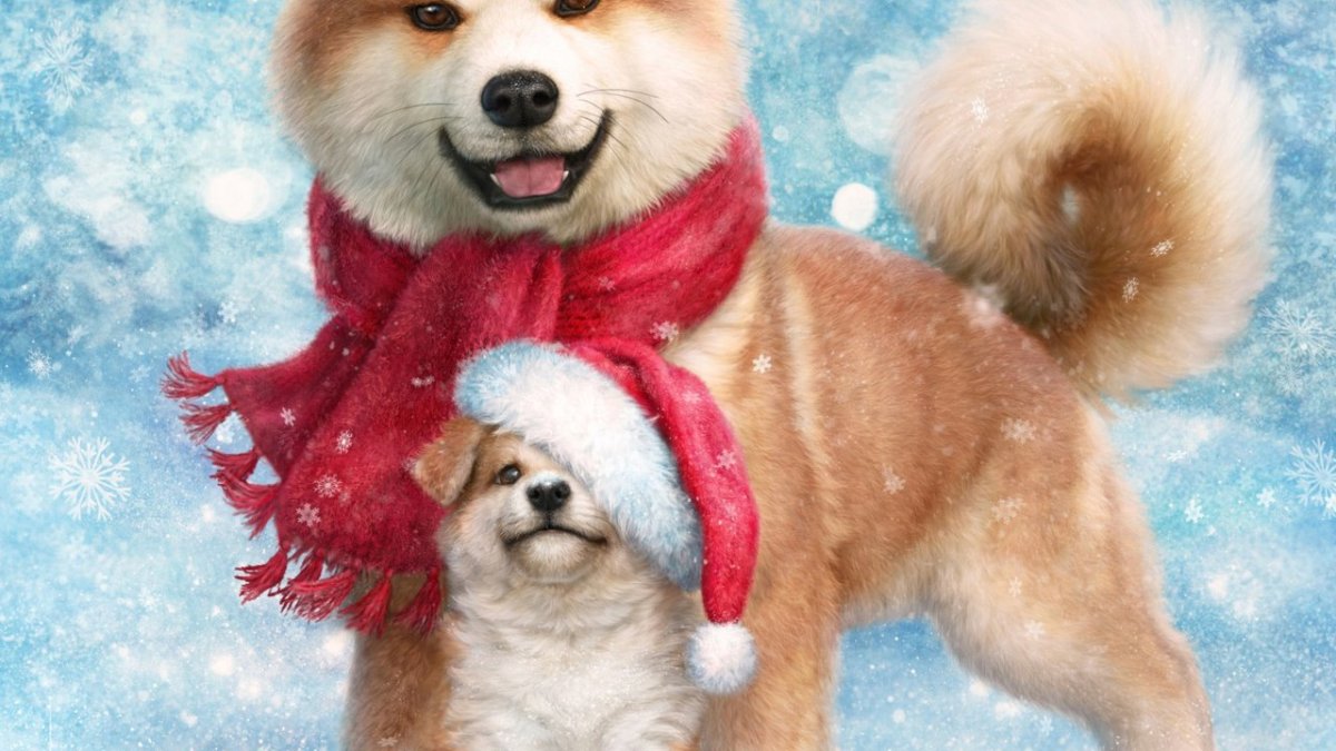 Акита ину зимой