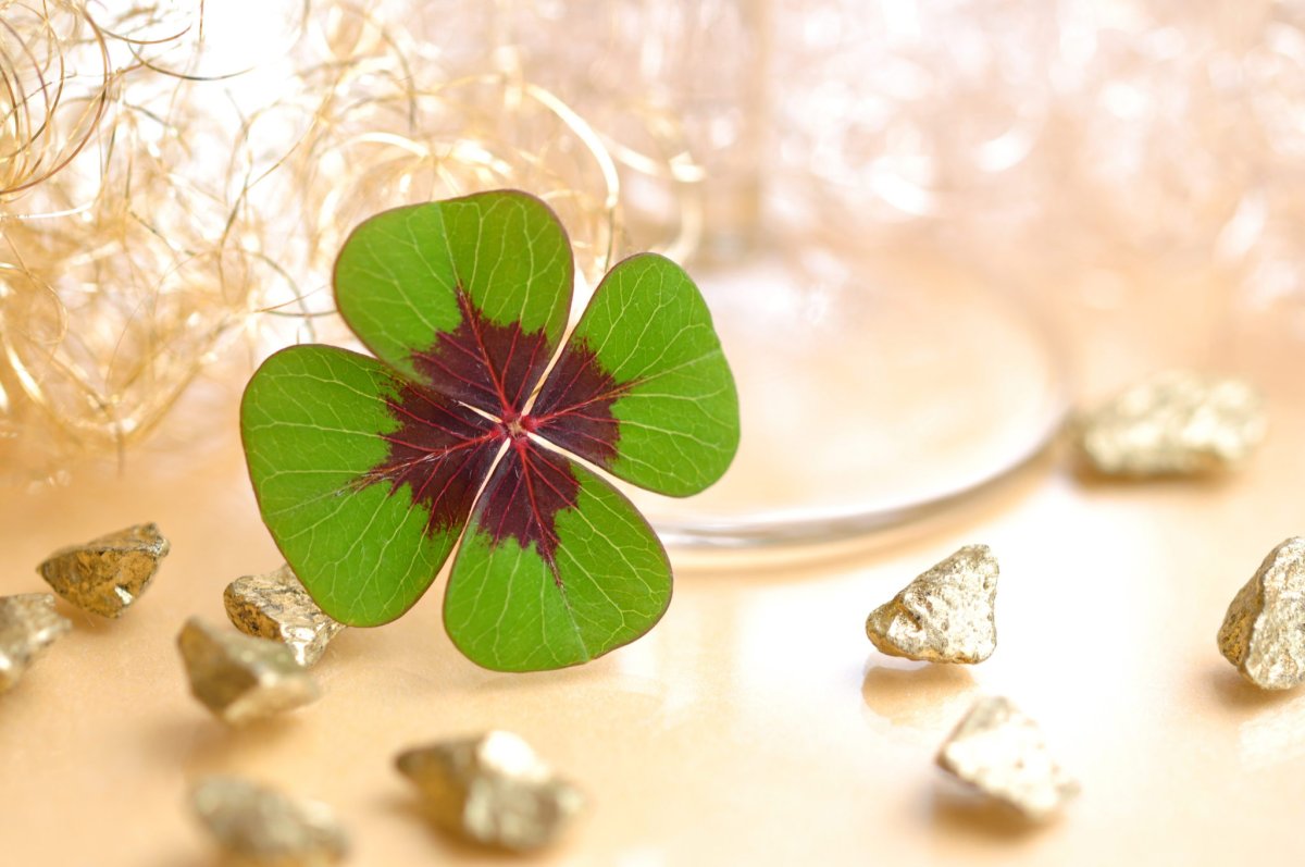 Заставка на мобильник на удачу