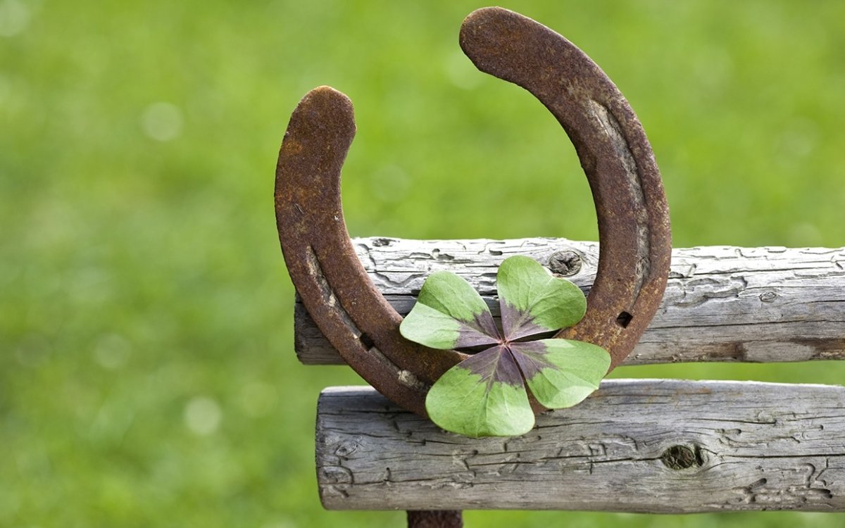 Подкова с клевером на удачу