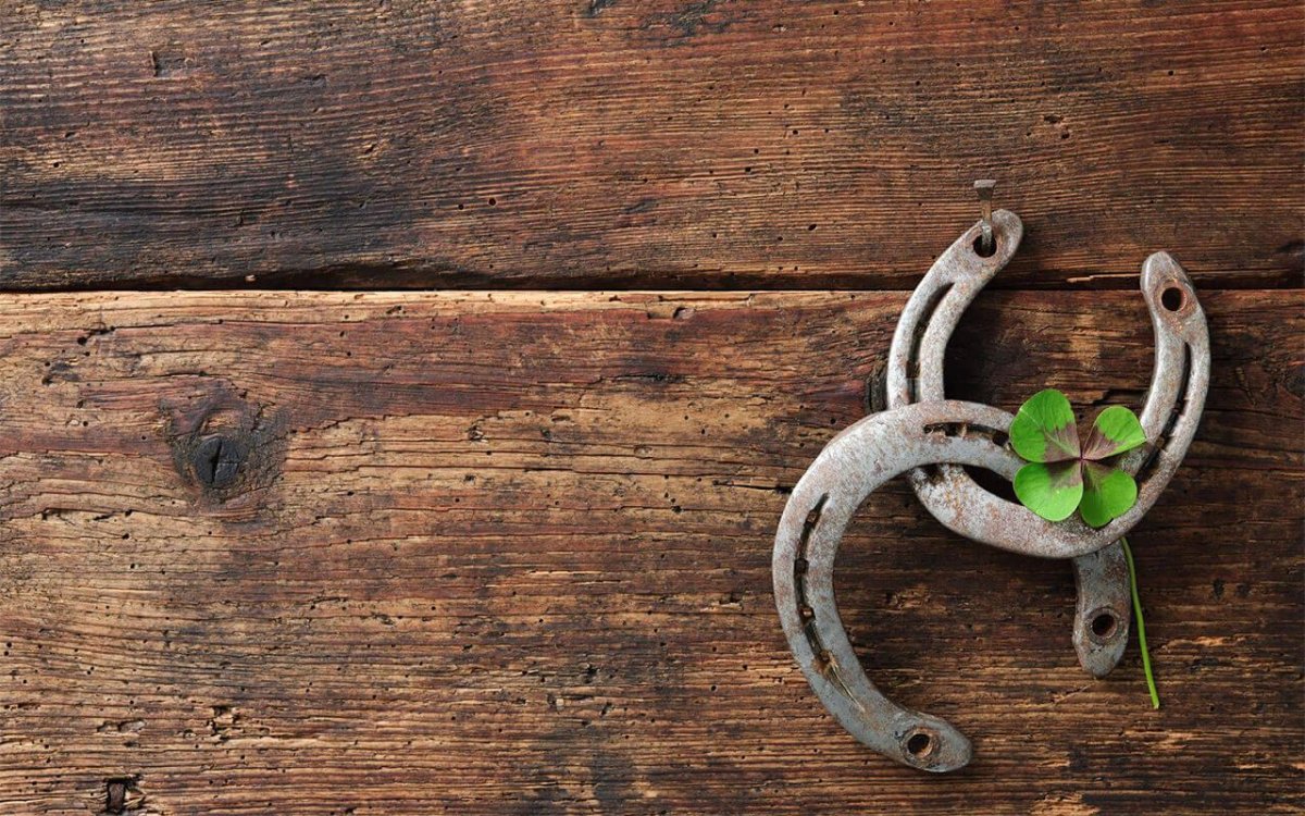 Подкова на фоне клевера