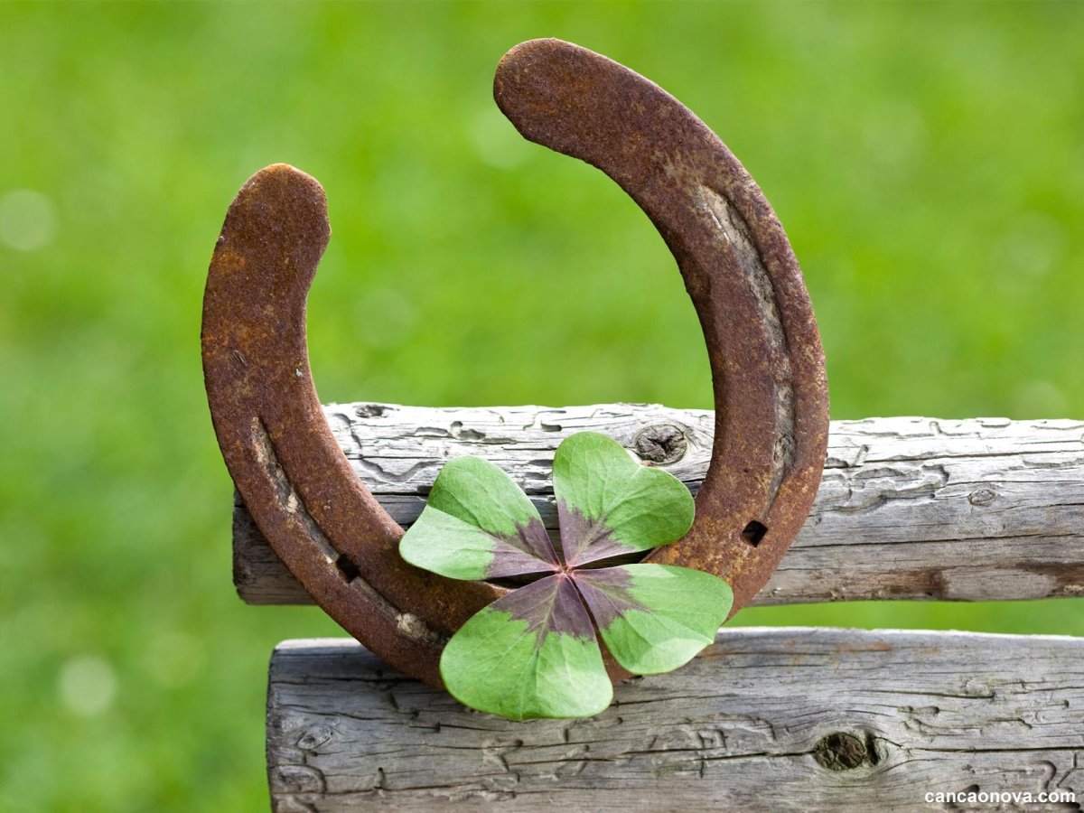 Подкова «удачи и богатства»»