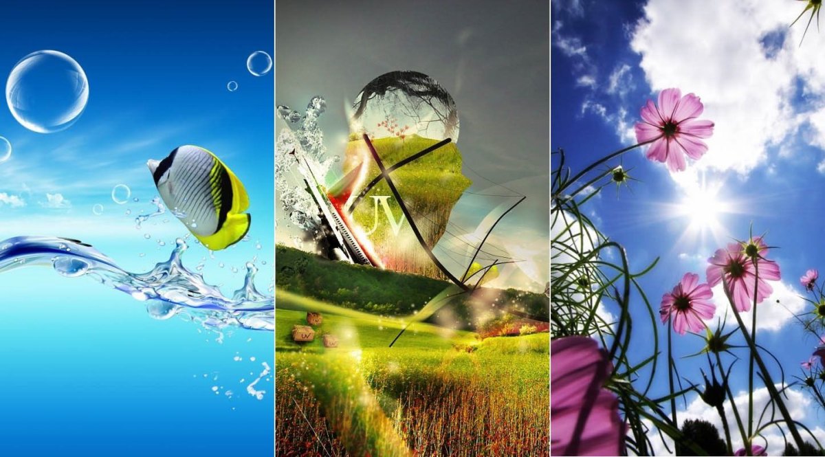 Красивое поле ромашек