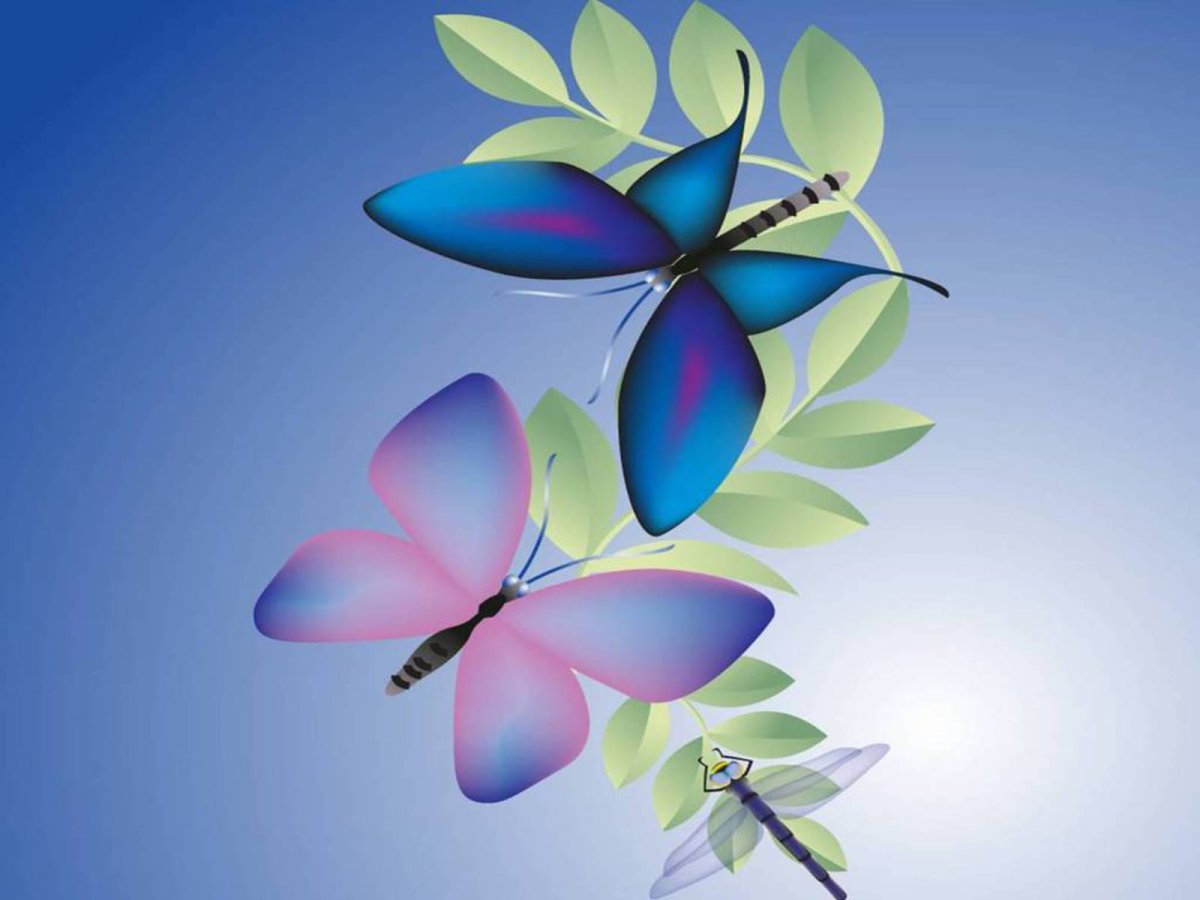 Радужная бабочка на черном фоне