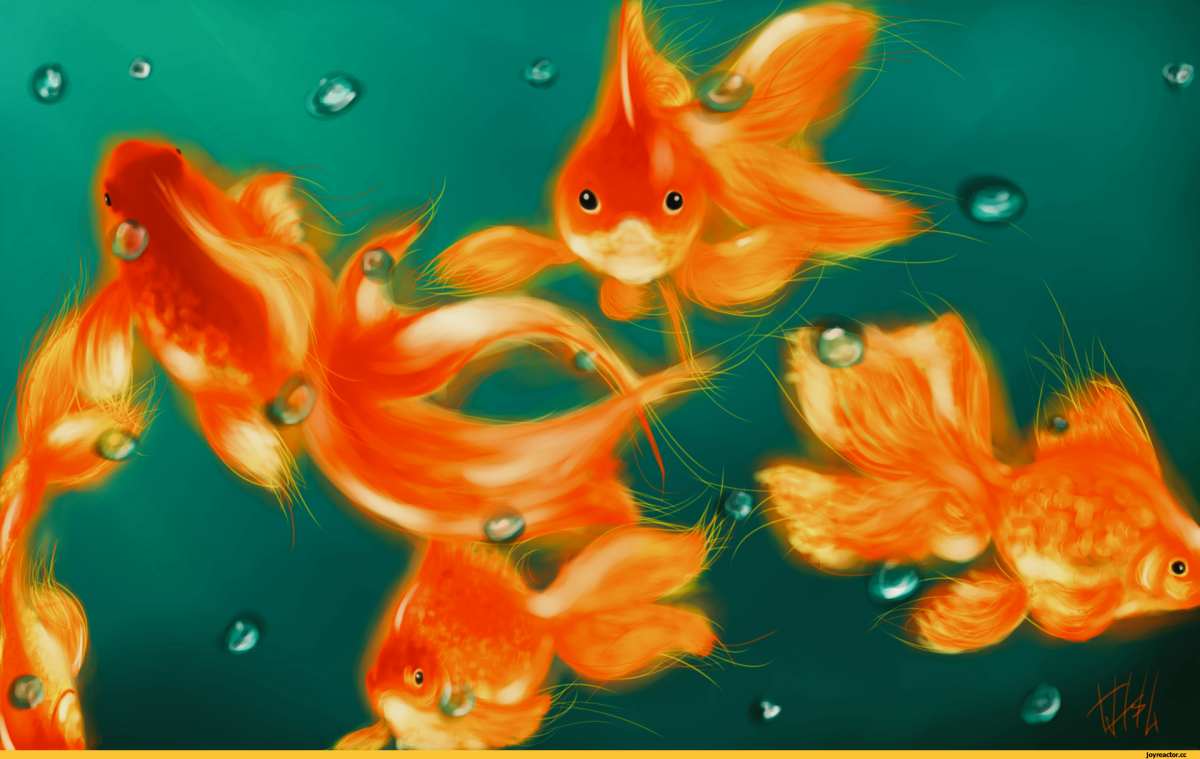 Обои рыбки