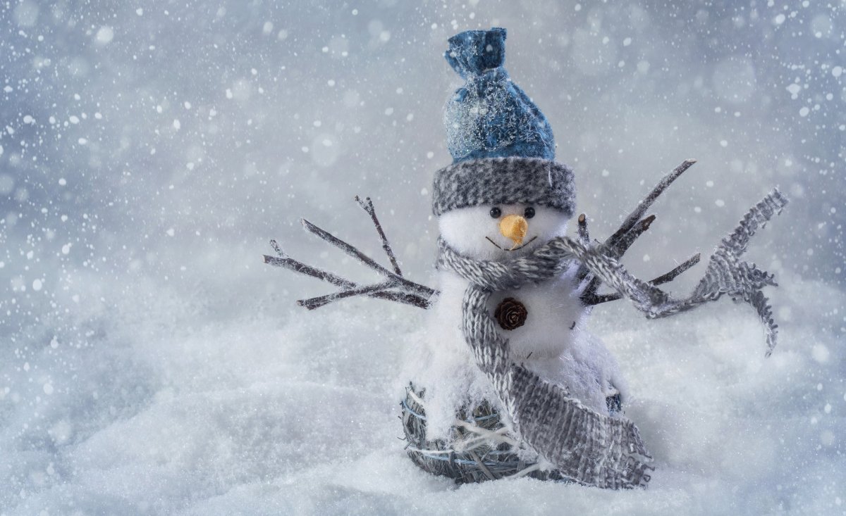 Винтер Сноумен Винтер