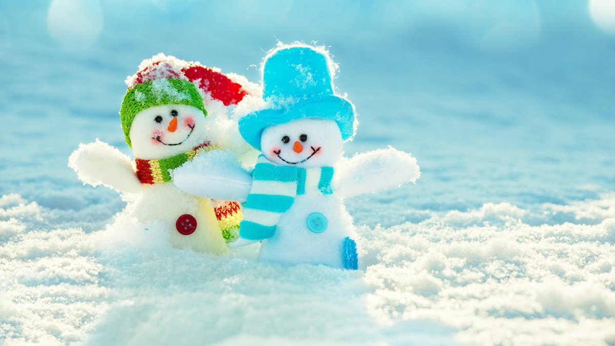 Веселая зима