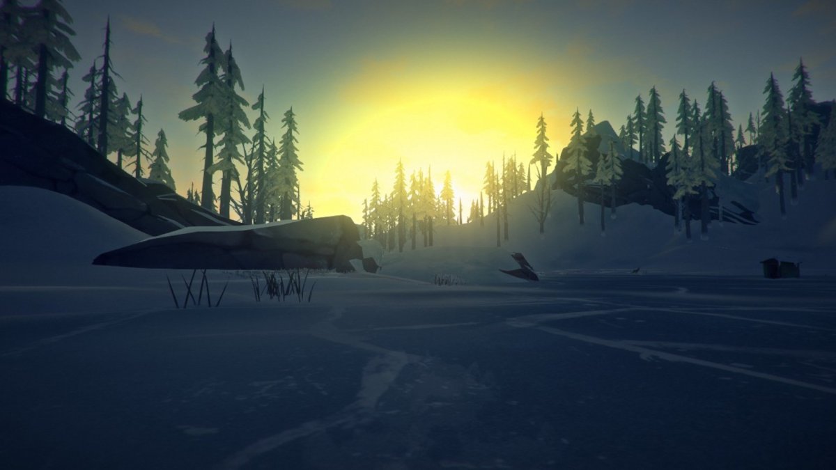 Лонг дарк выживание