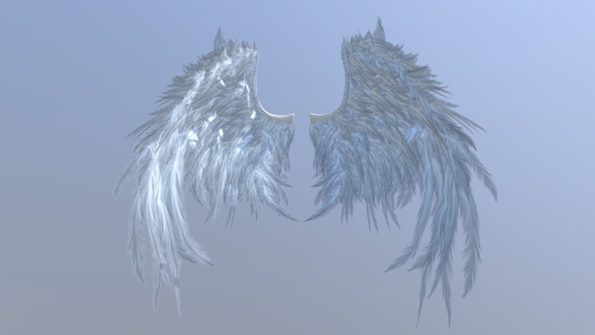 Очень красивые Крылья