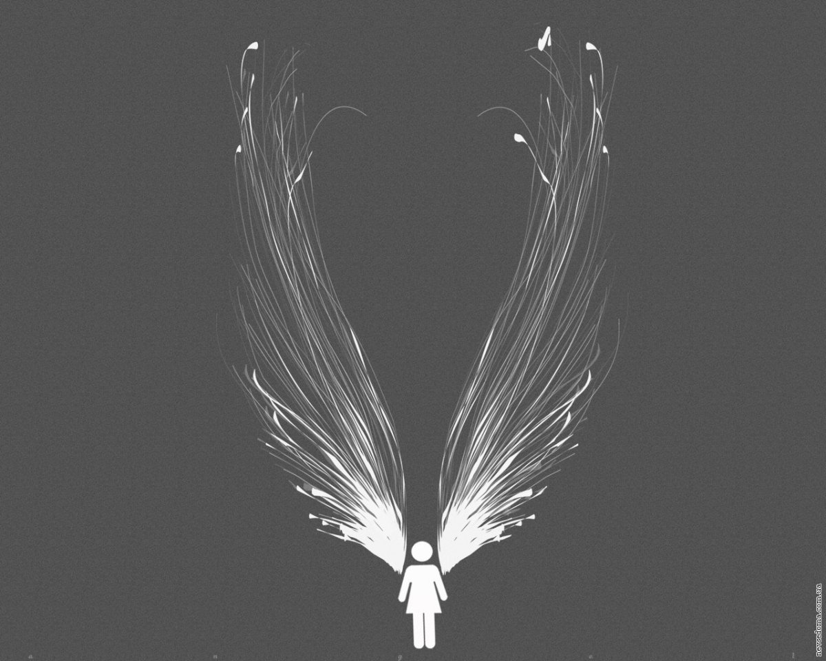 Крылья ангела обои