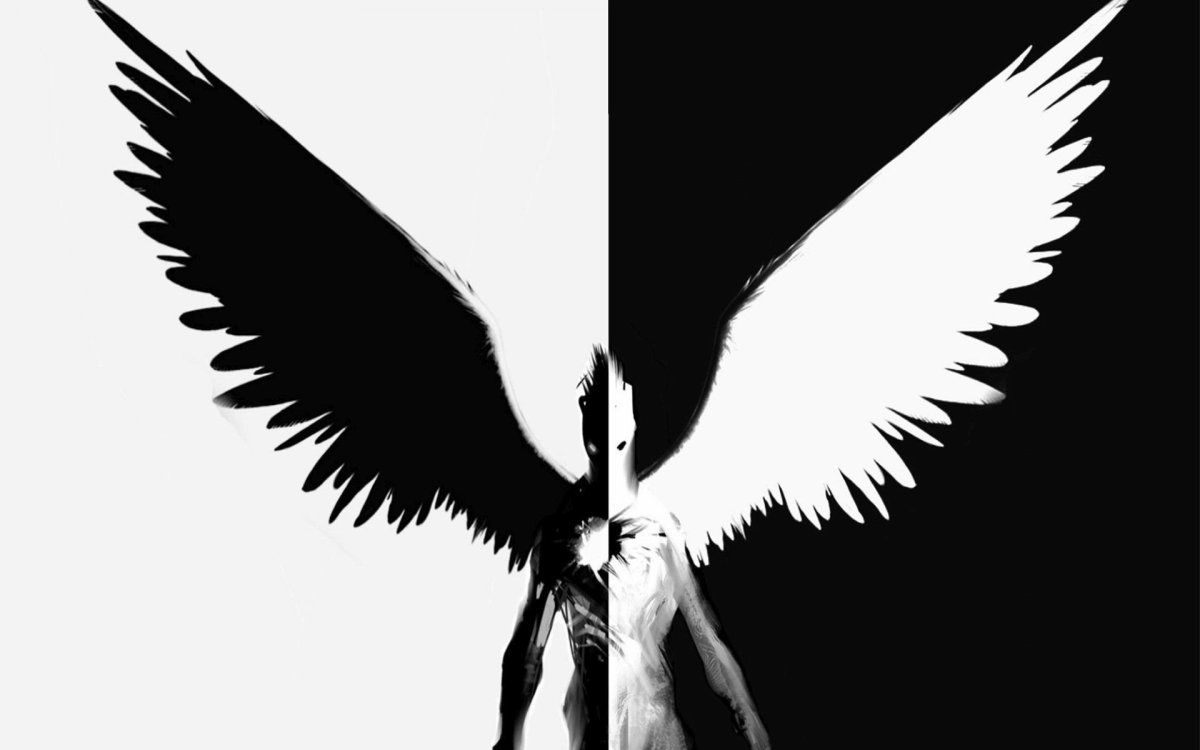 Черное и белое крыло