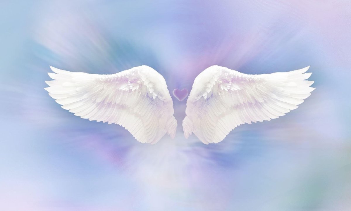 Крылья ангела