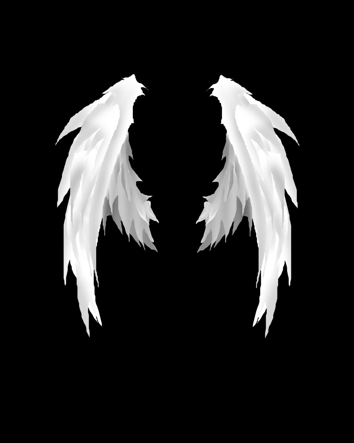 Ангельские Крылья на черном фоне