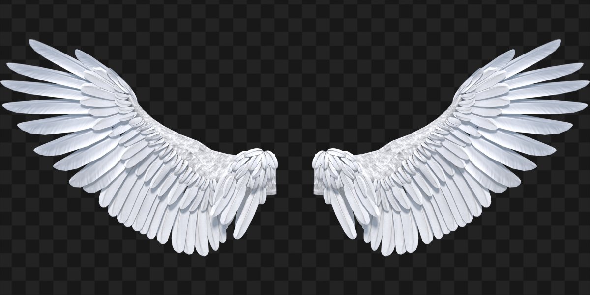 РАСПРАВЛЕННЫЕ Крылья ангела