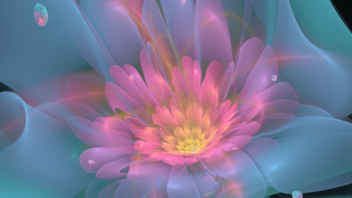 Лотус цветок айфон