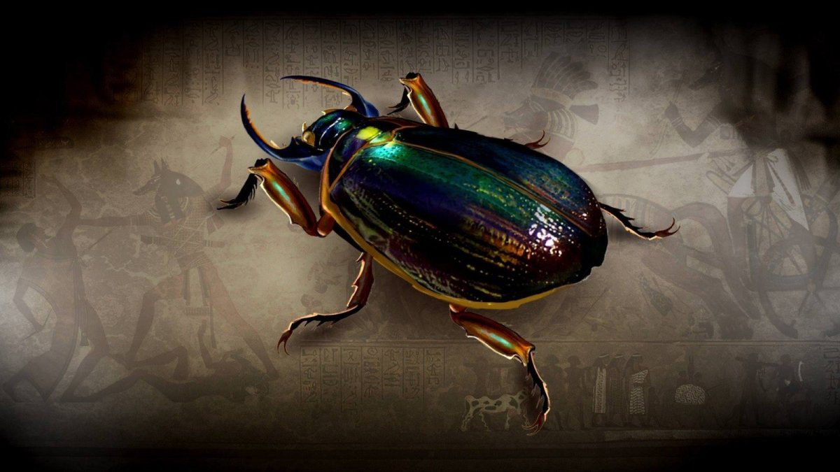 Жук скарабей 3д