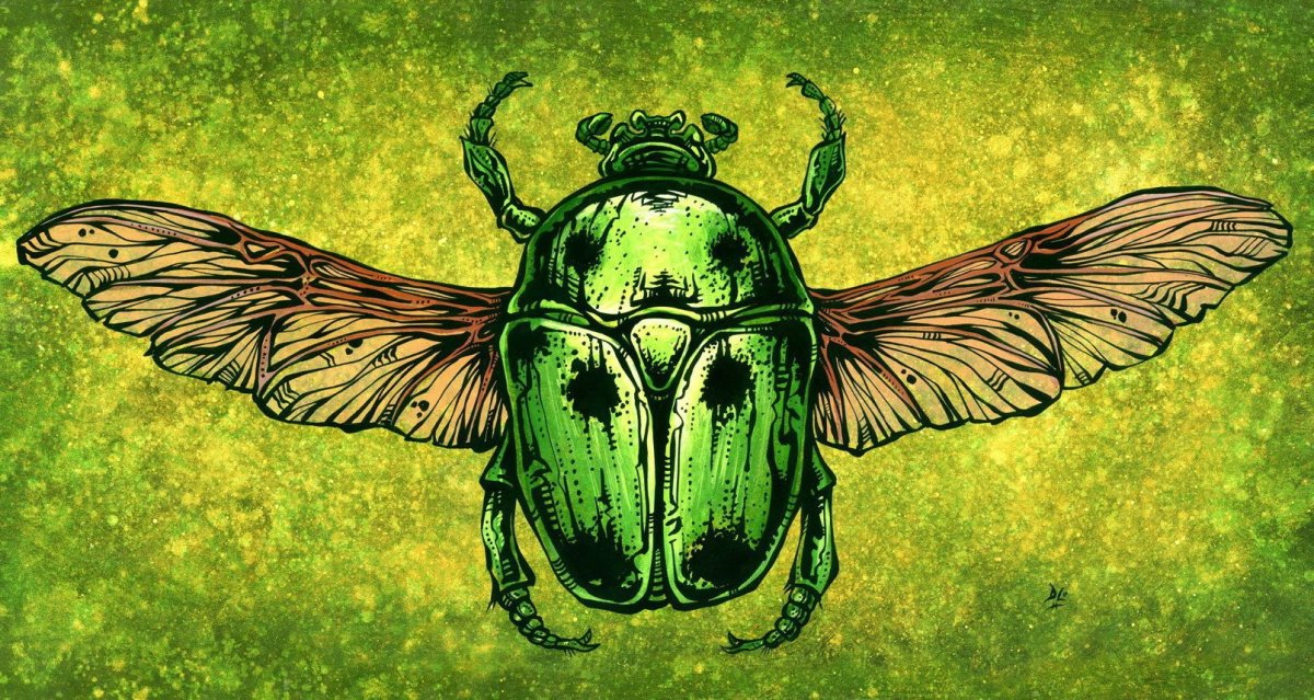 Скарабей Ниуэ