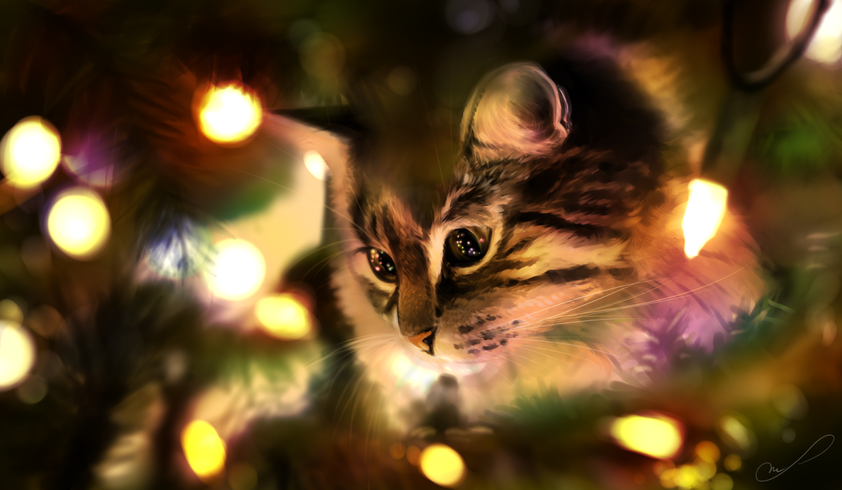 Кот новый год