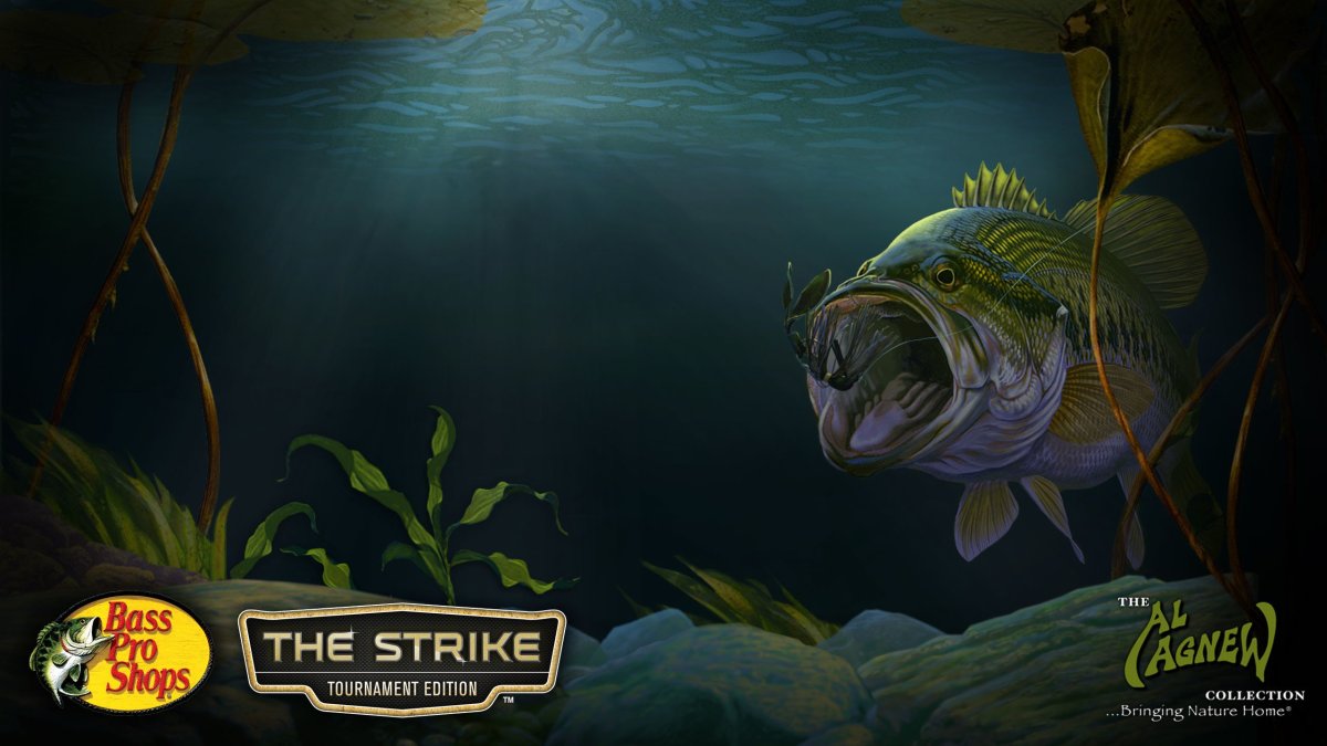 Обои на телефон рыбалка