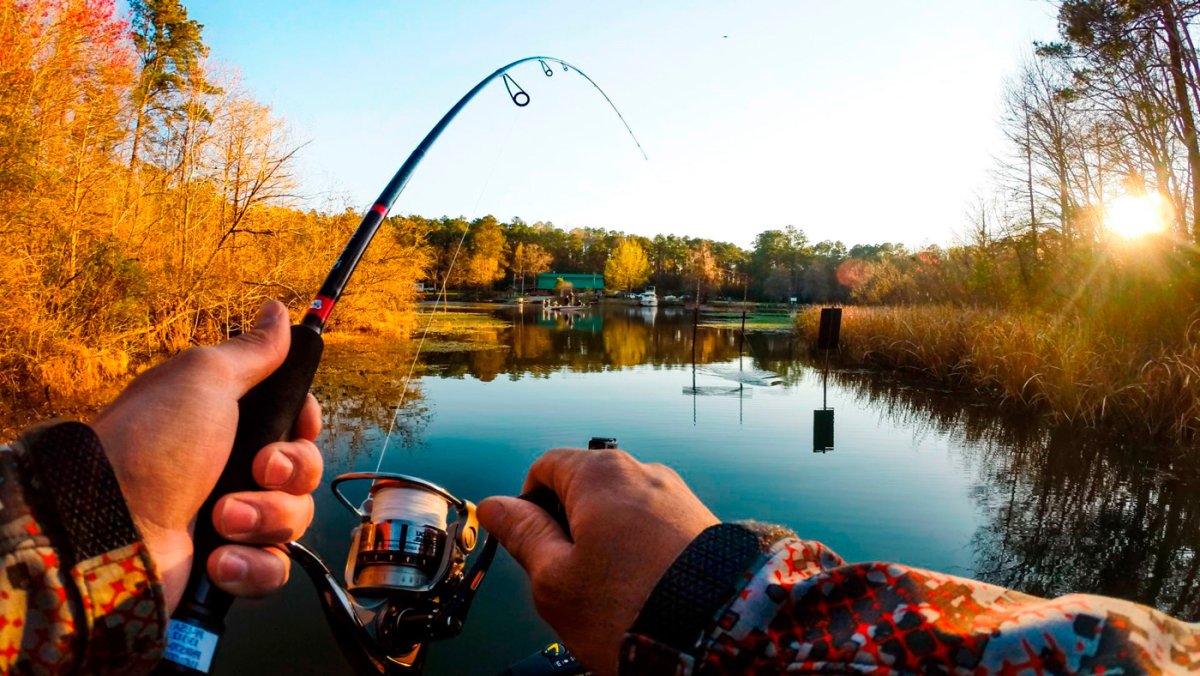 Красивая природа рыбалка