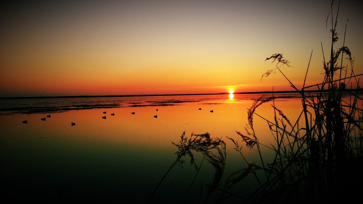 Обои на телефон рыбалка