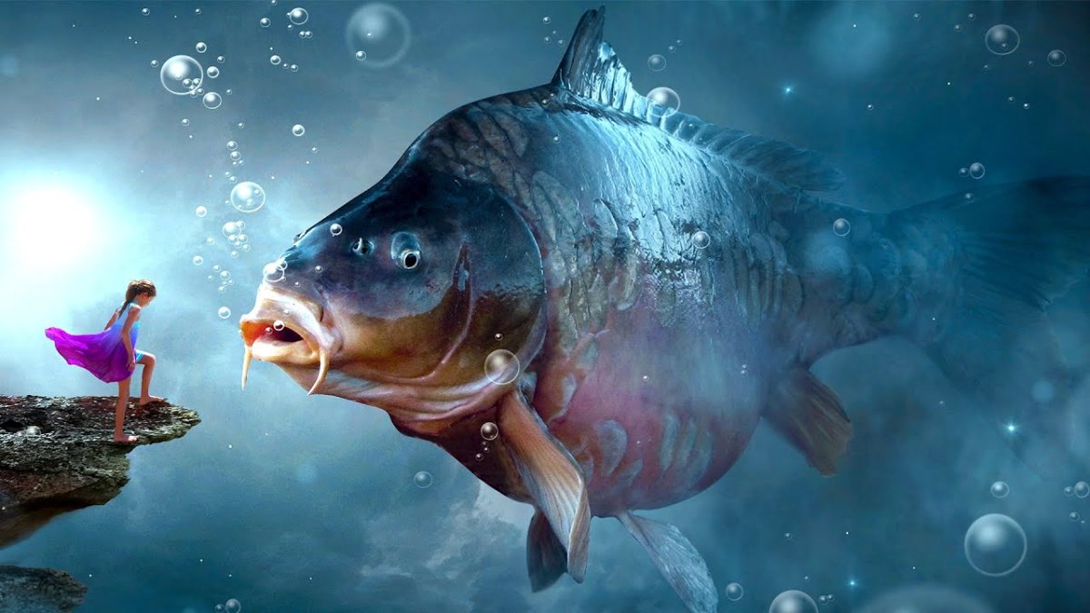 Поплавки для рыбалки