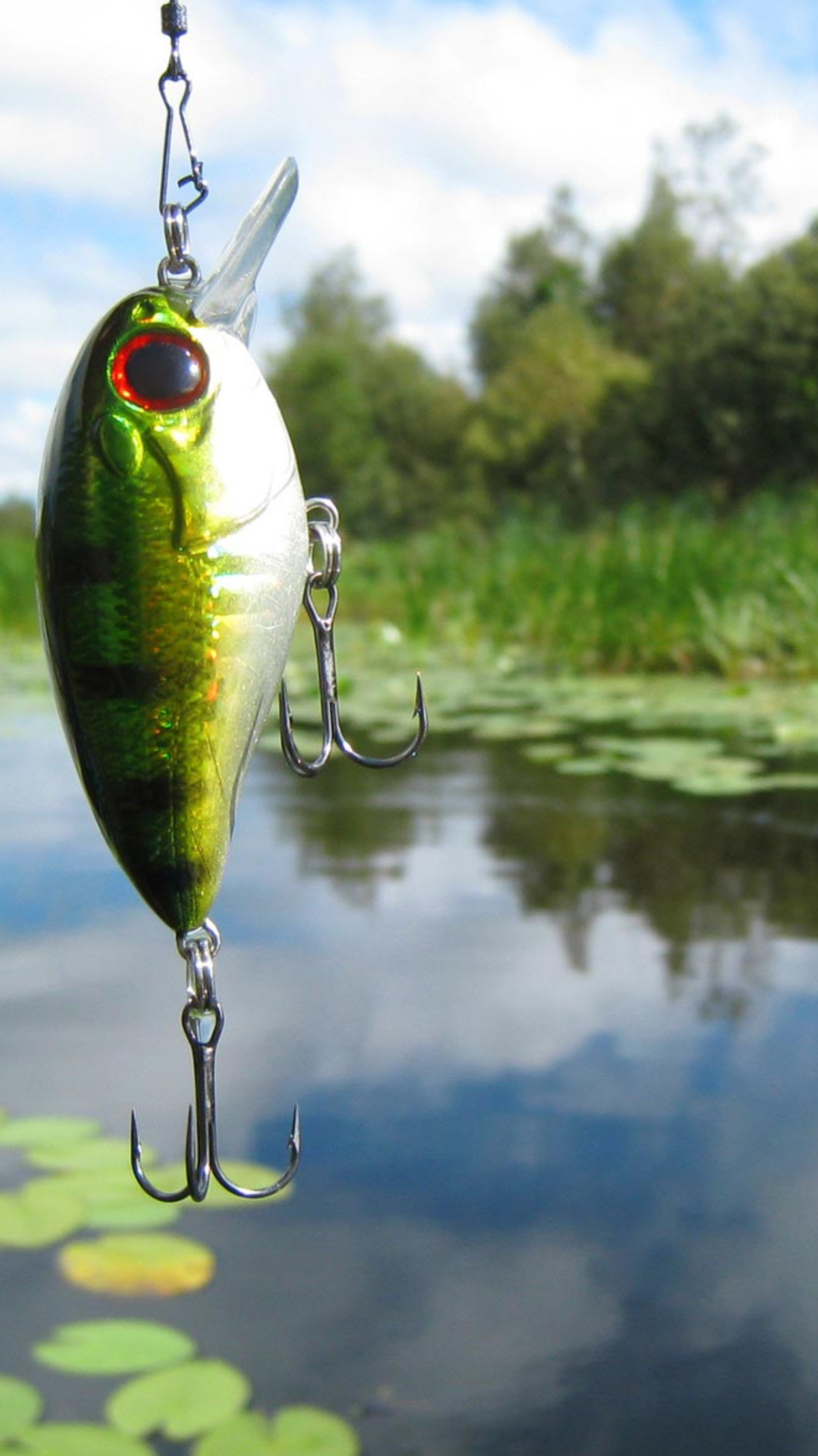 Рыбалка на айфон