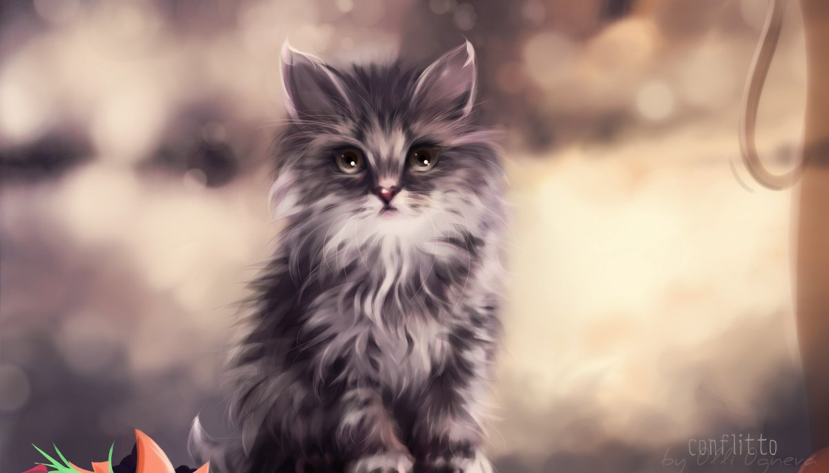 Фон с котиками