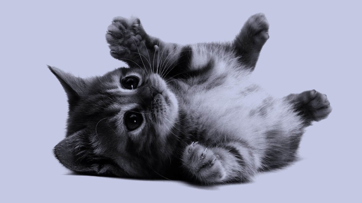 Кошка с клубком