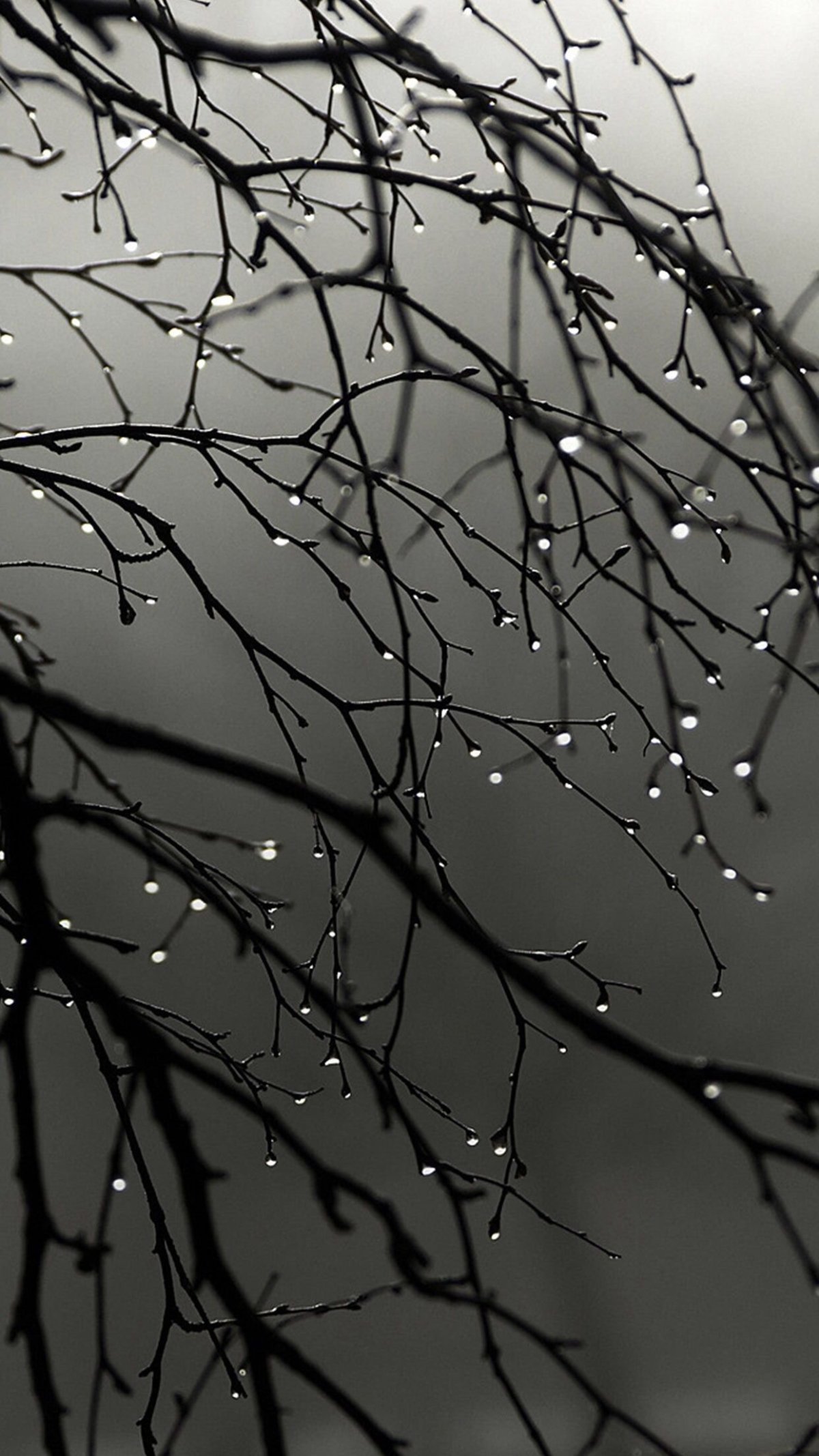 Капли дождя