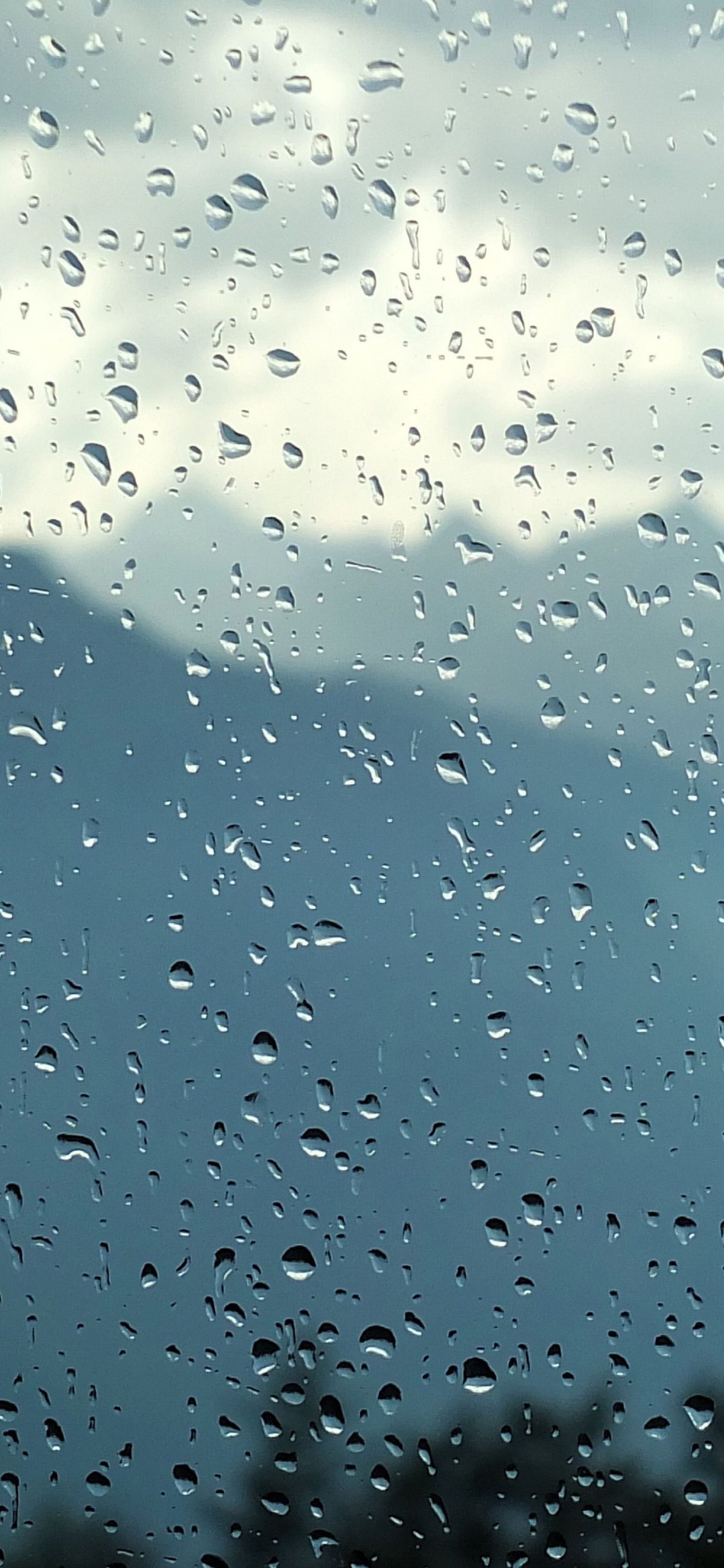 Красивая природа по дождем