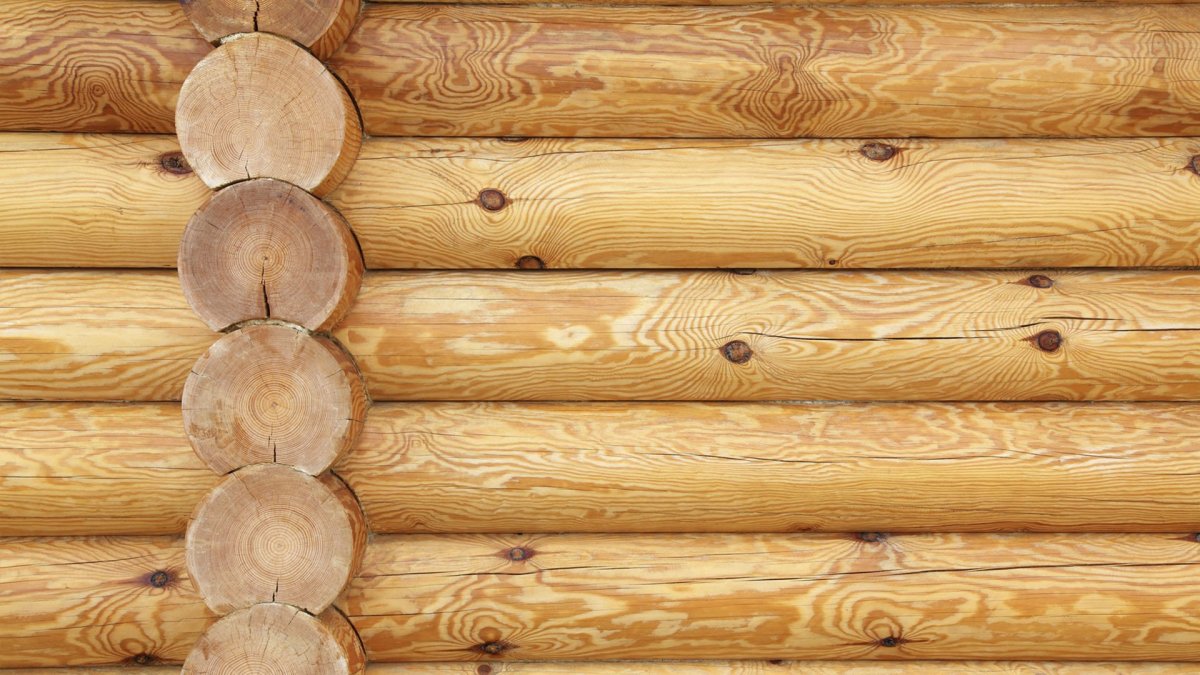 Деревянная стена из бревен