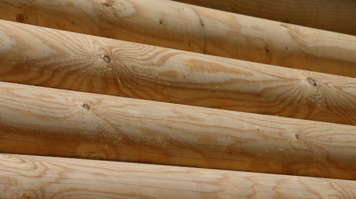 Шлифованное бревно сруб