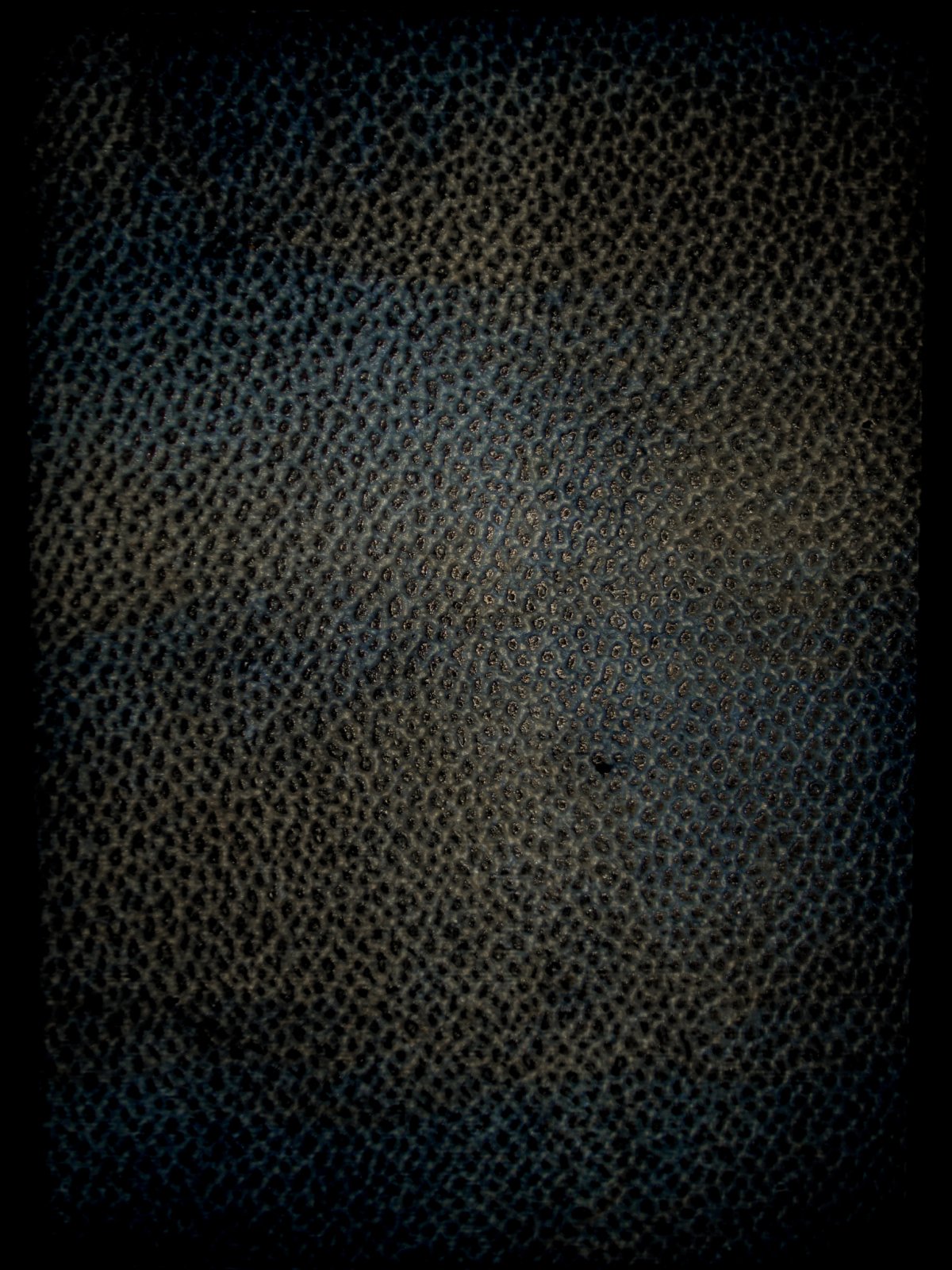 Черная кожа с золотом