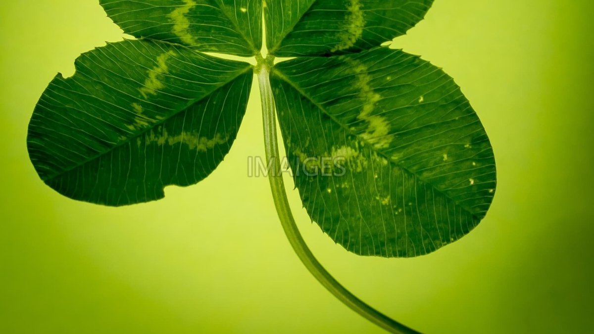 Символ удачи и везения