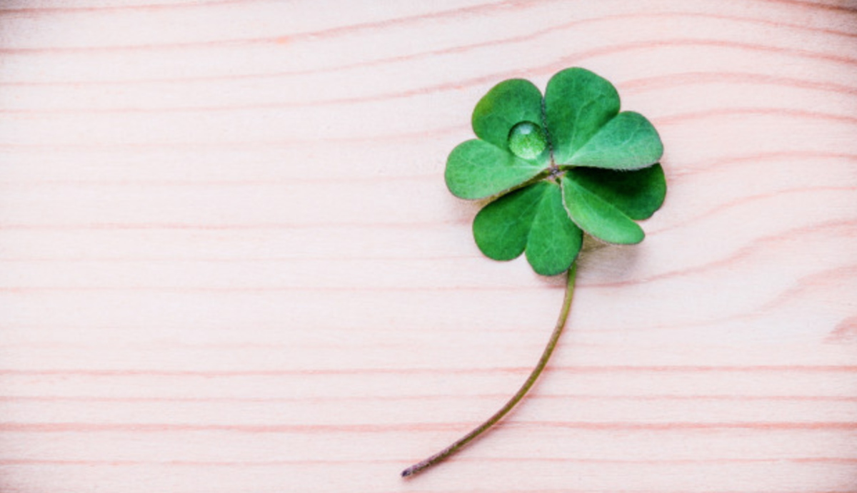 Клевер на доске