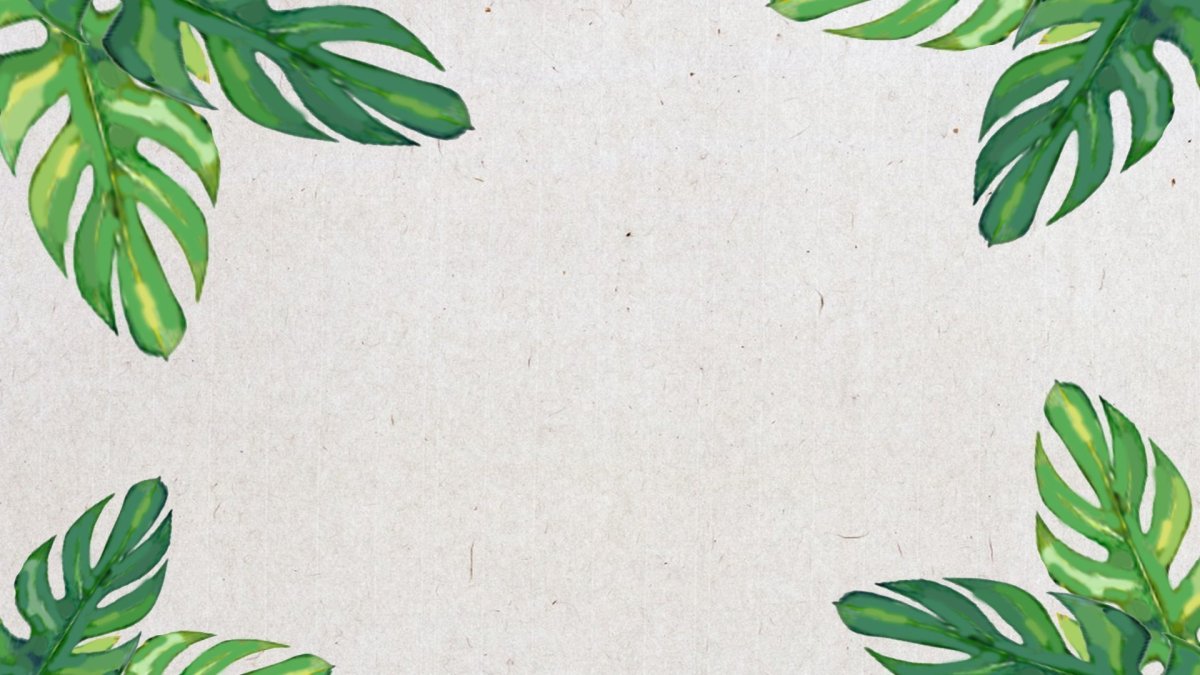 Принты кактусы