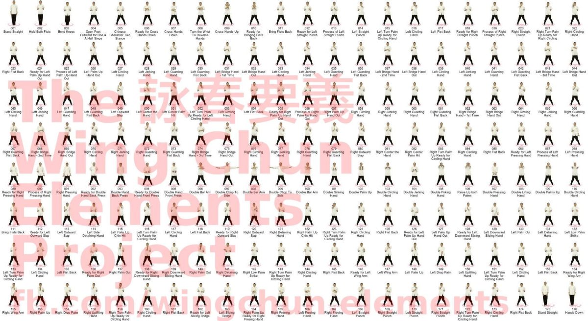 Сиу Лим Тао в картинках