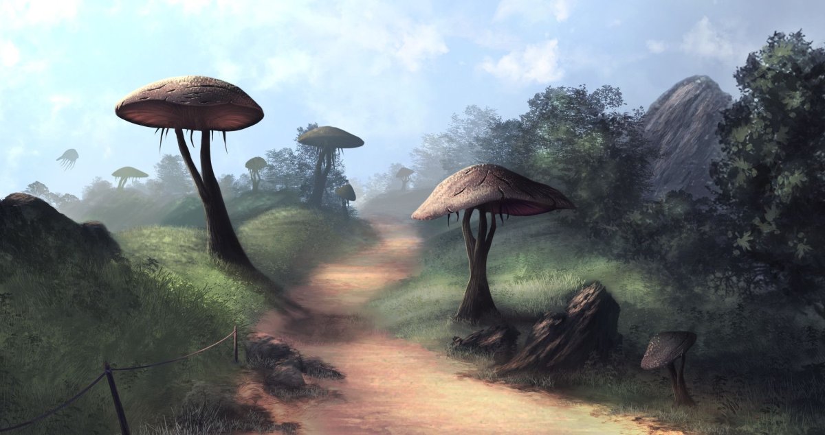 Тес морровинд пейзажи