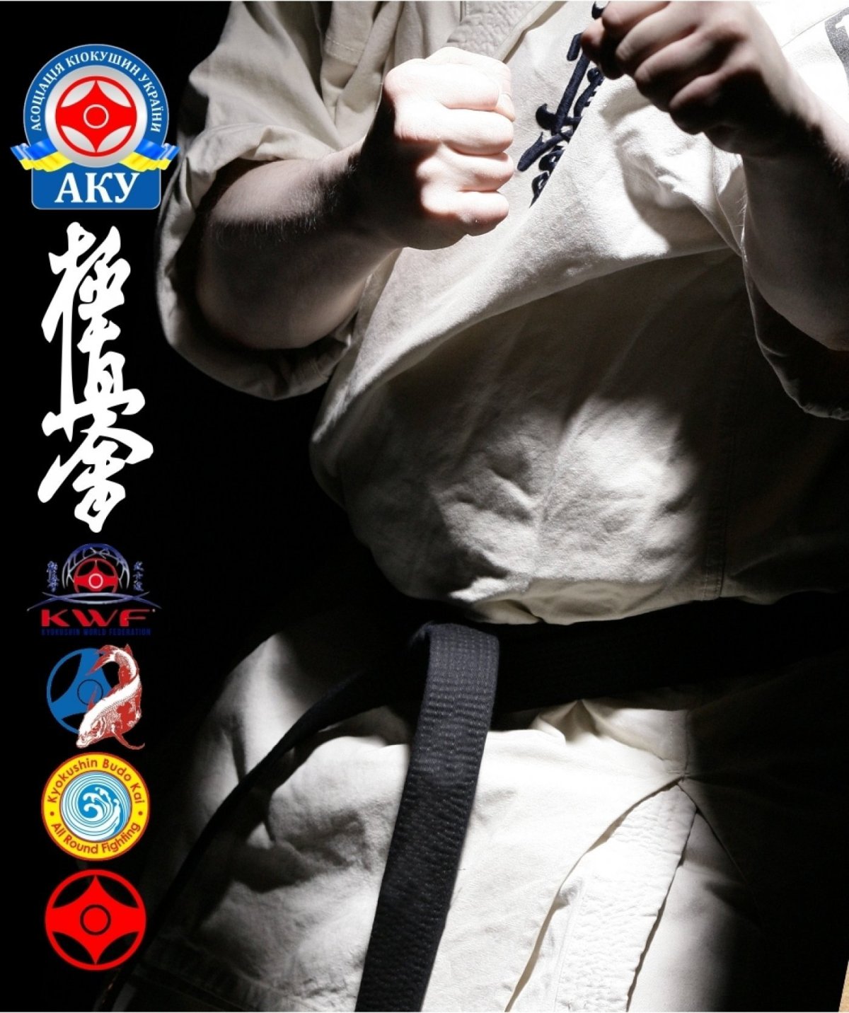 Баннер киокусинкай