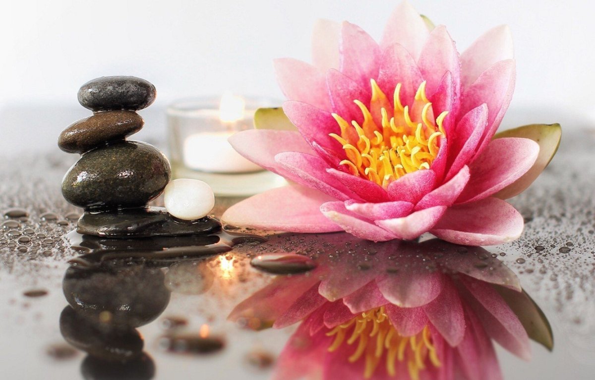 Бамбук и камни