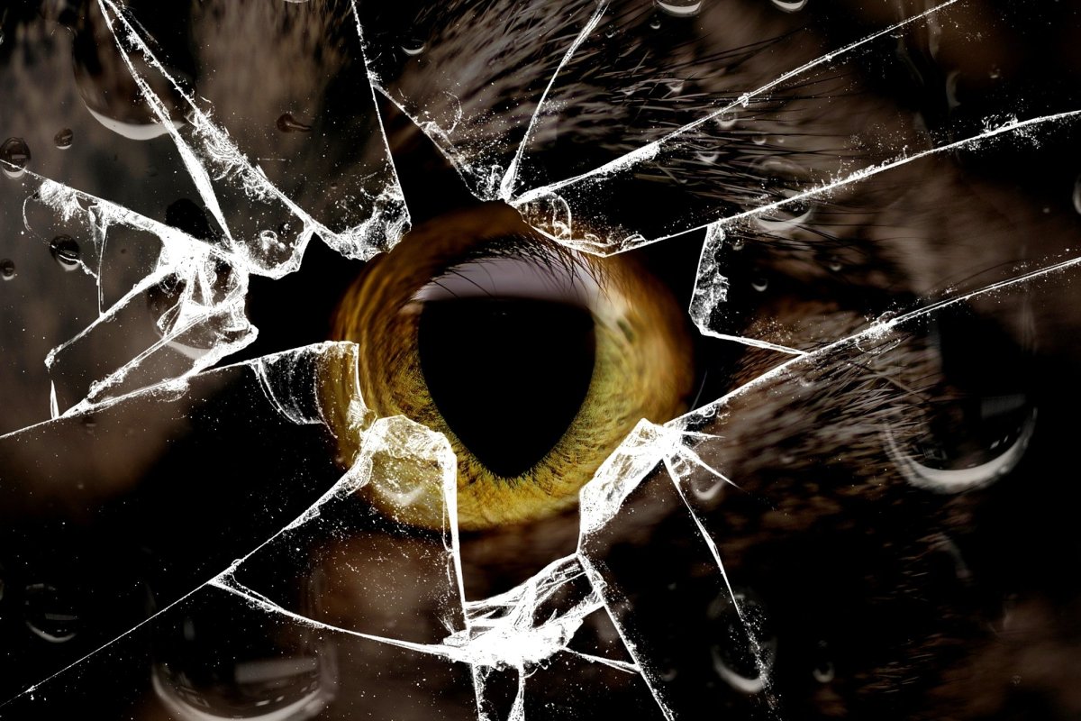 Разбитое стекло обои для телефона с матрицей