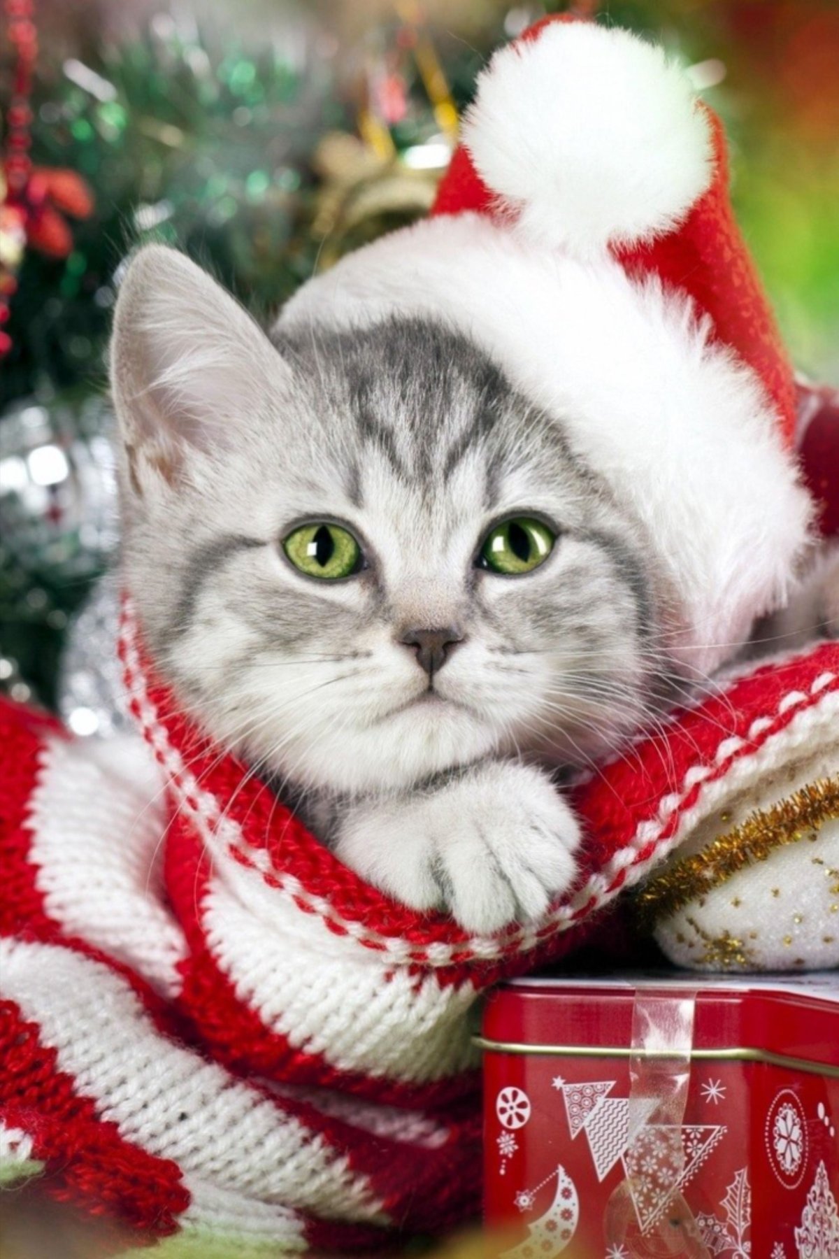 Новогодняя кошечка
