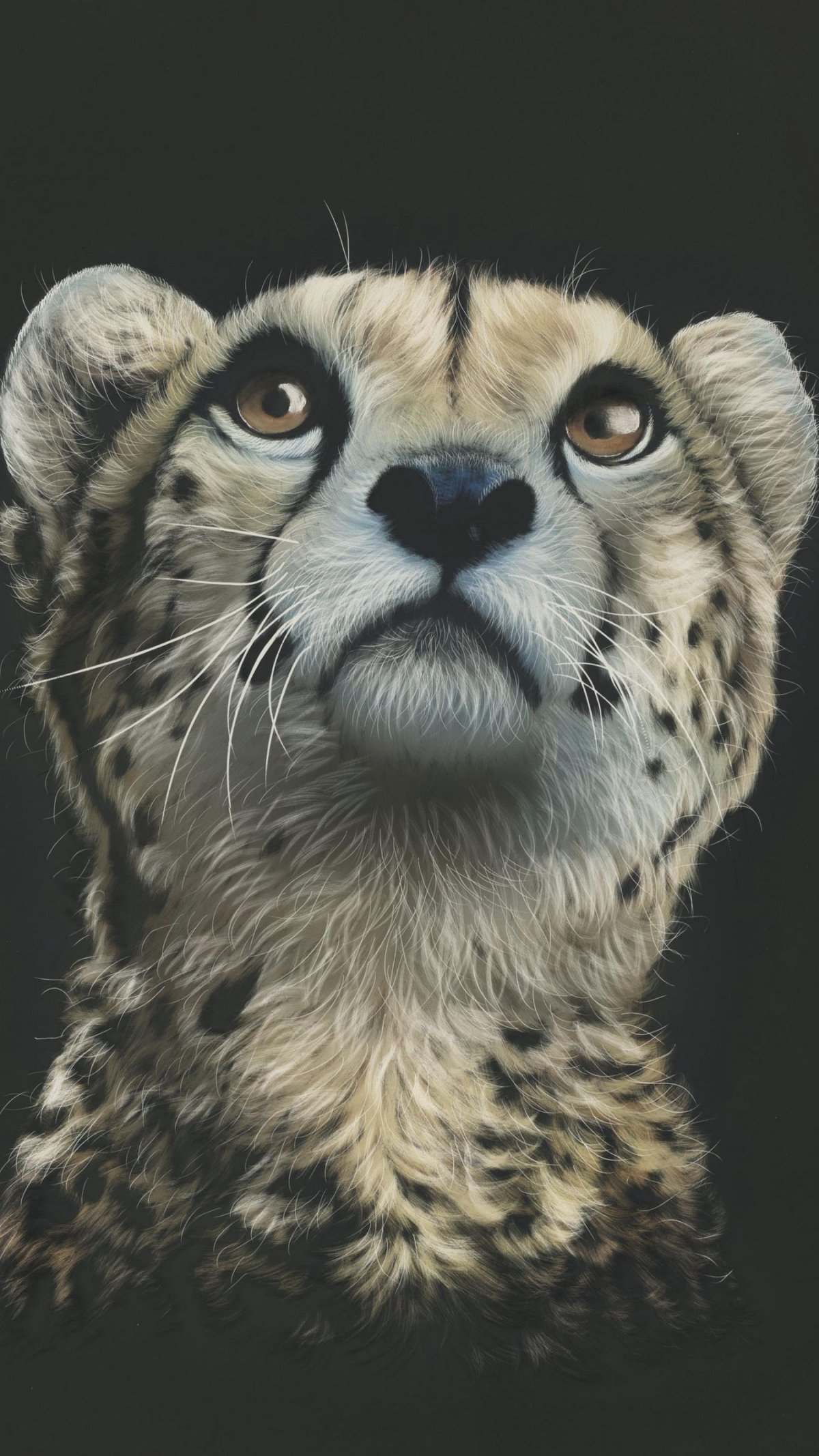 Животные на темном фоне