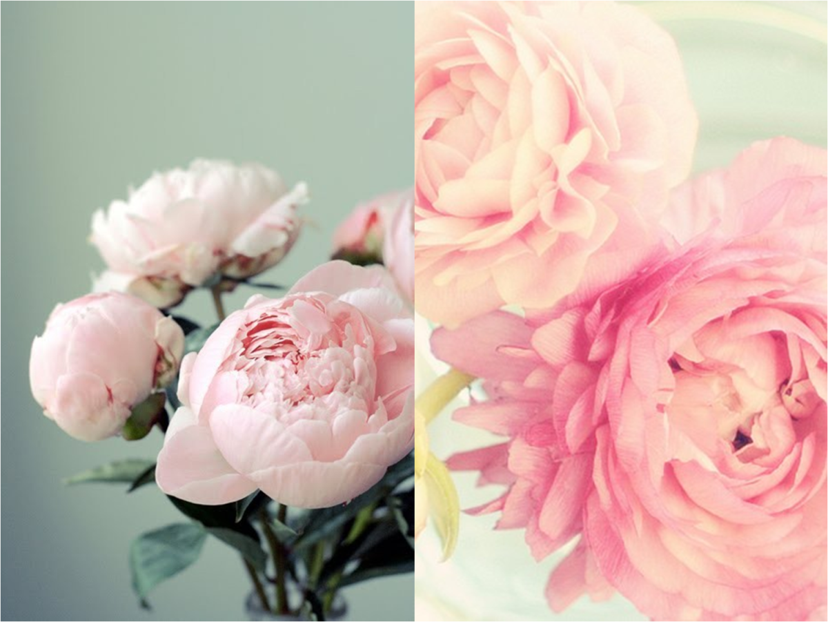 Фон для сториз