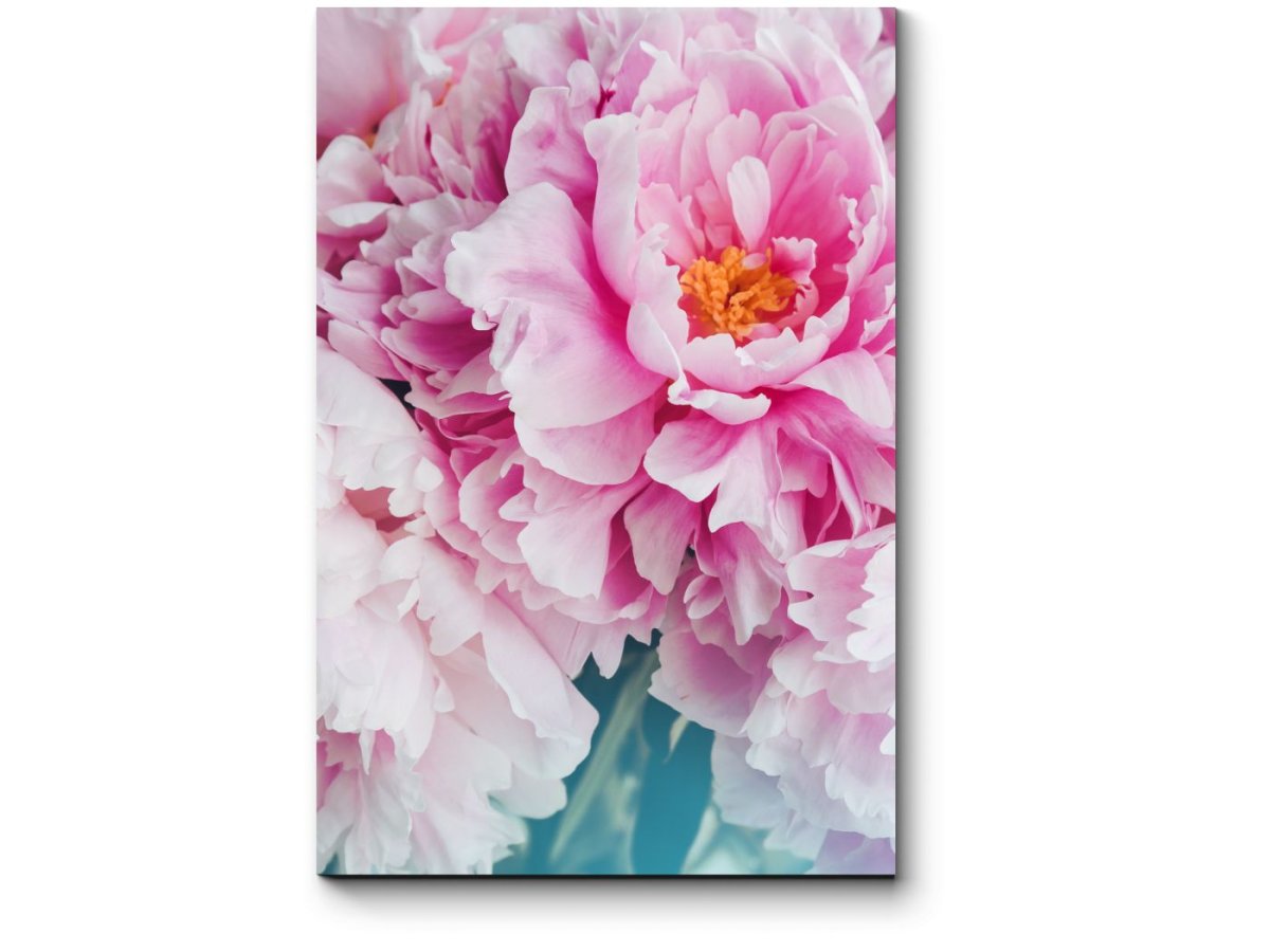 Пионовидная роза