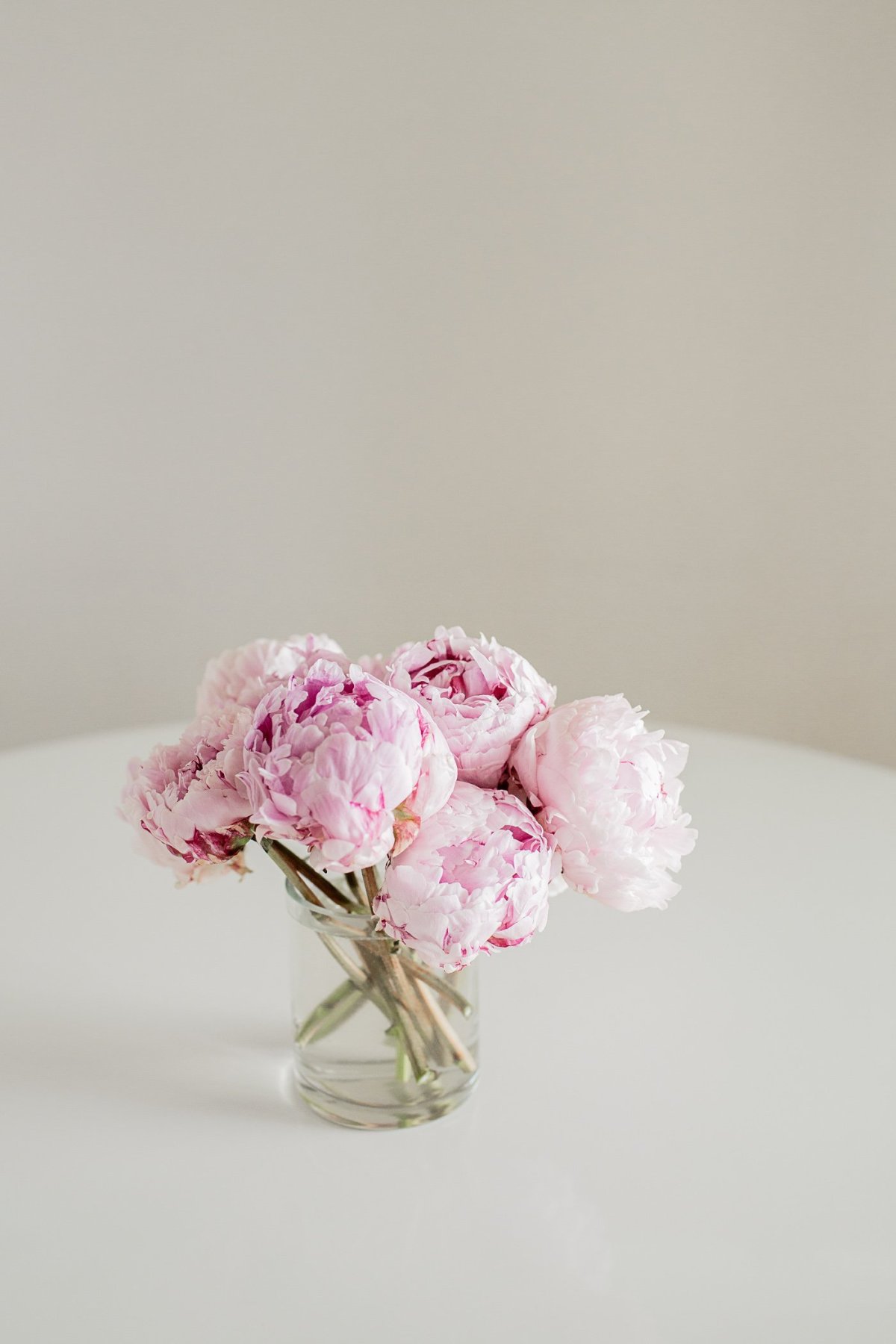 Пионы колор