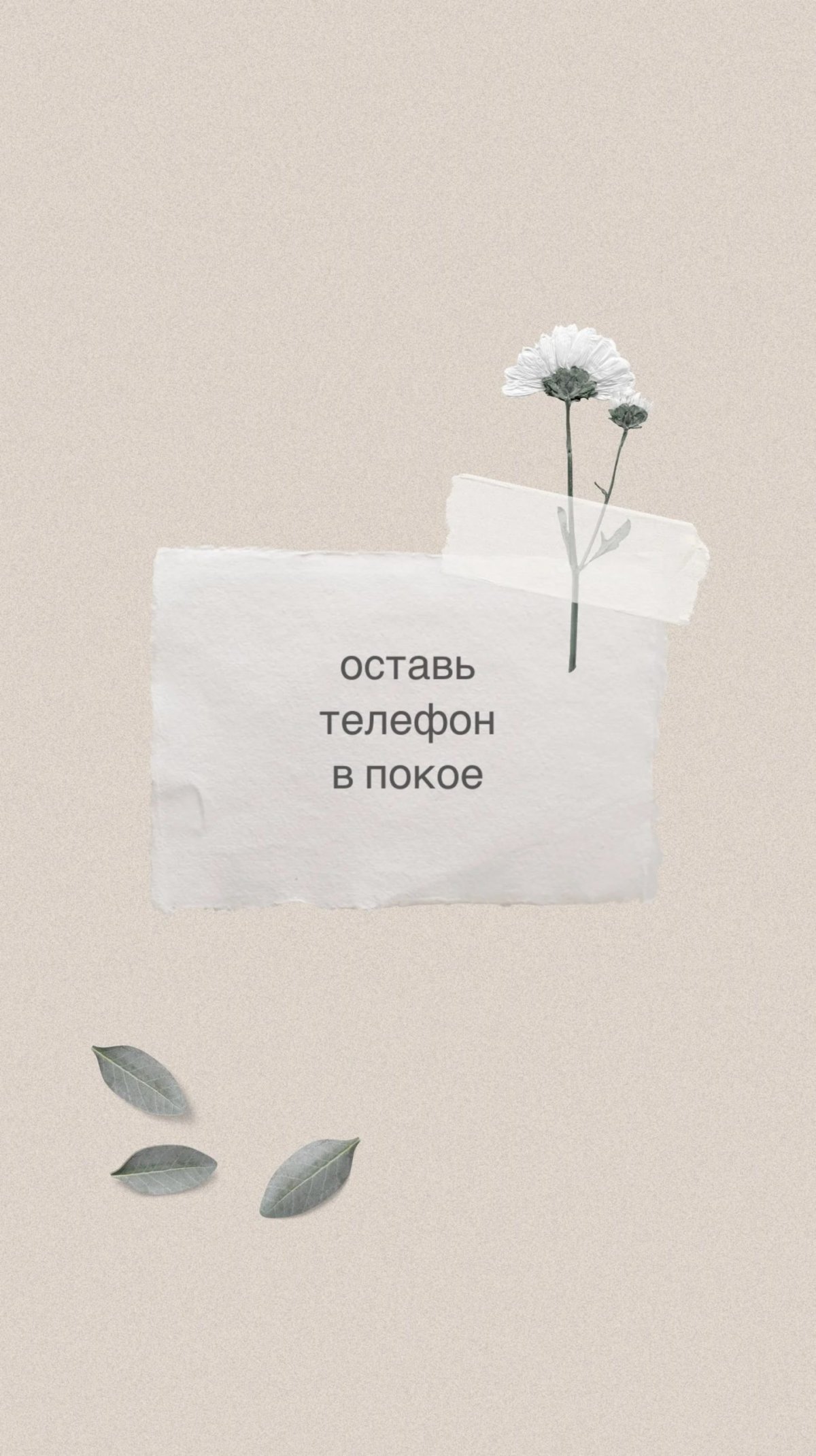 Заставки со смыслом