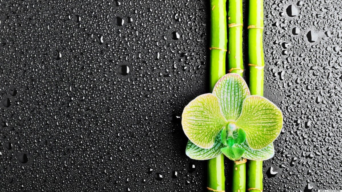 Необычный фон на айфон