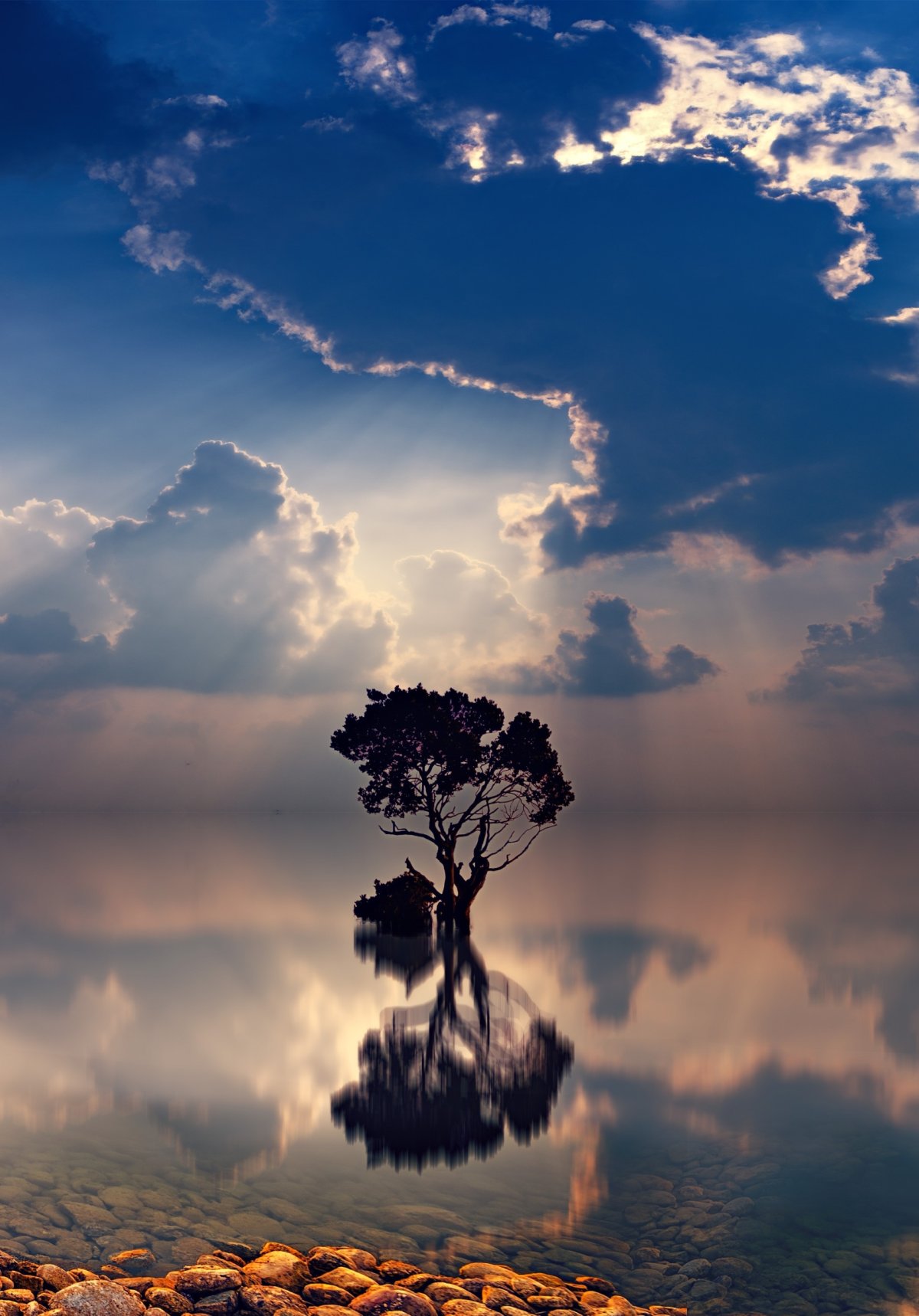 Перо на закате