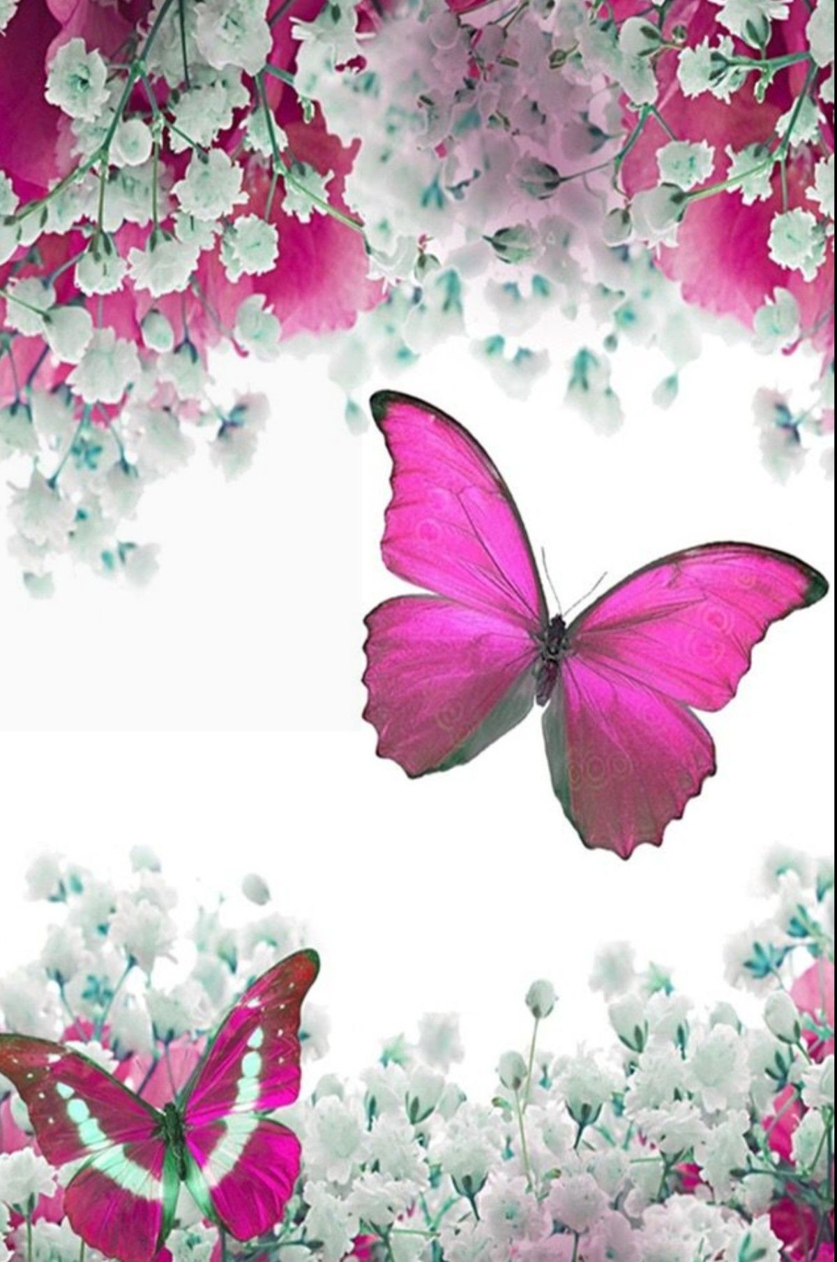 Фотообои бабочки в цветах